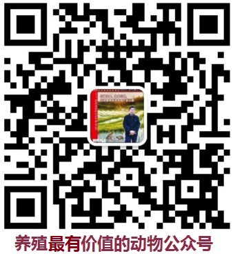 养殖最有价值的动物副本.jpg