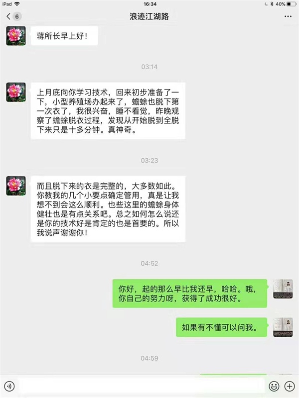 浪迹江湖：上月底向你学习技术，回来初步准备了一下，小型养殖场办起来了，蟾蜍也脱下第一次衣了。我很兴奋，睡不着觉，昨晚观察了蟾蜍脱衣过程，发现从开始脱到全脱下来只是十多分钟，真神奇。而且脱下来的衣是完整的。你教我的几个小要点确定管用，真是让我想不到会这么顺利。你的技术好也是首要的，谢谢你！.jpg