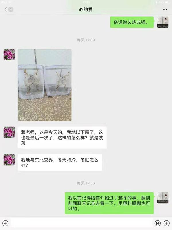 bb04982939ea18aa53901aaeae605e5.jpg
