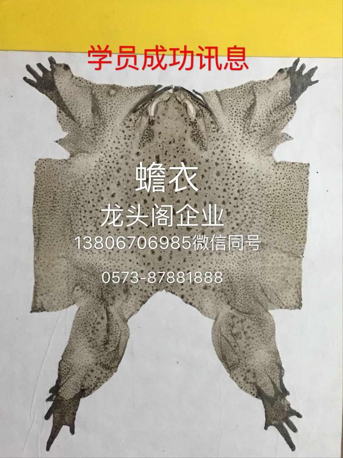 蒋张林与学员微信聊天截图1.jpg