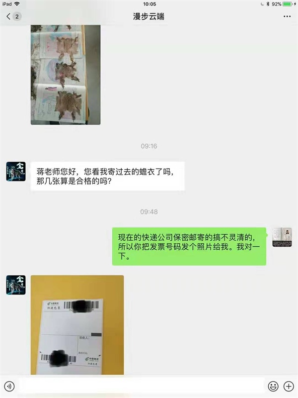 漫步云端：三张蟾衣图片，蒋老师你好，您看我寄过去的蟾衣了吗？那几张算是合格的吗？.jpg