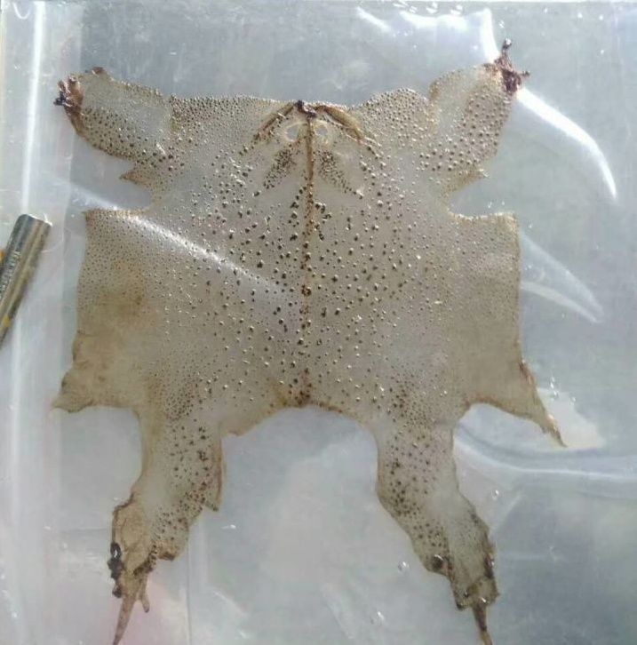 2023121