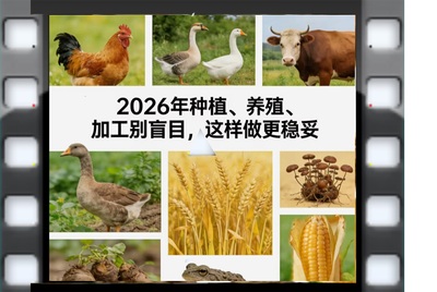 2026.jpg