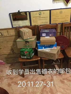 c3f5fa1329cb615add8ede90c2870f1.jpg