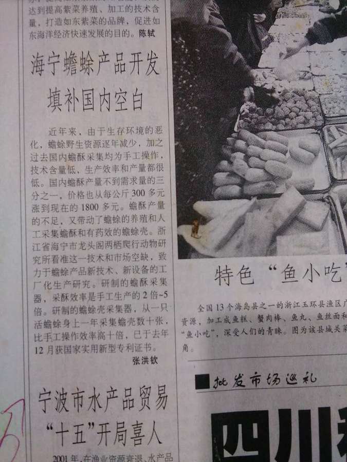 海宁蟾蜍产品开发填补国内空白.jpg