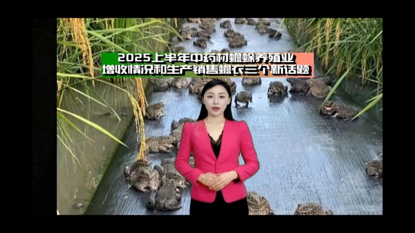 2025上半年中药材蟾蜍养殖业增收情况和生产销售蟾衣三个新话题.jpg