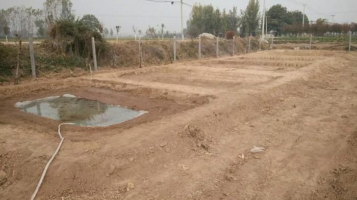 时令入冬，是建设蟾蜍养殖场的好时机。冬令时节建场忙2.jpg