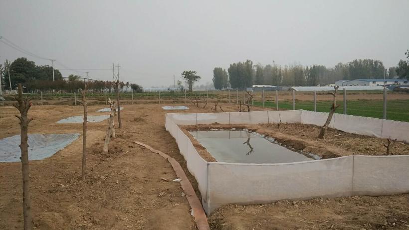 时令入冬，是建设蟾蜍养殖场的好时机。冬令时节建场忙3.jpg