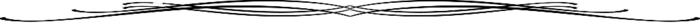 timg 副本 3.png
