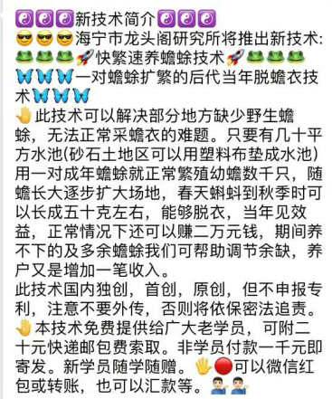 快繁速养蟾蜍技术.png